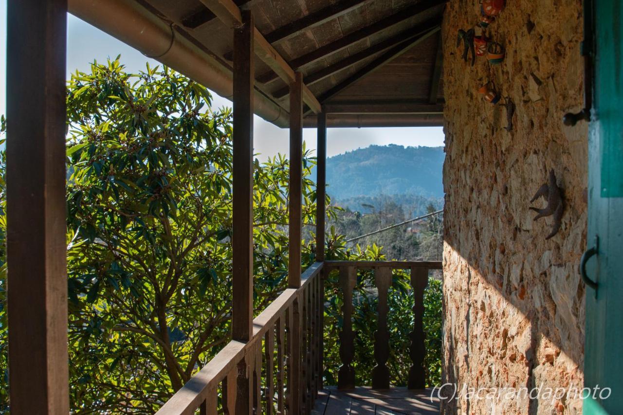 קמאיורה Villa La Pieve מראה חיצוני תמונה